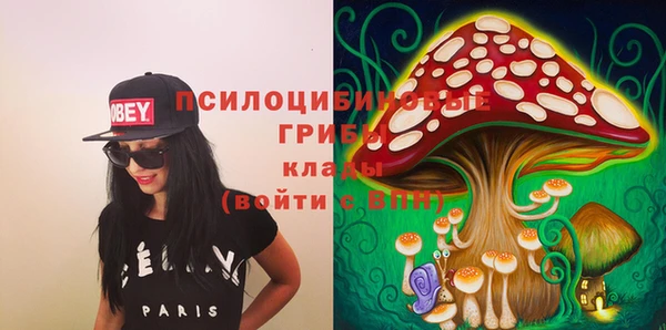 дмт Алексеевка